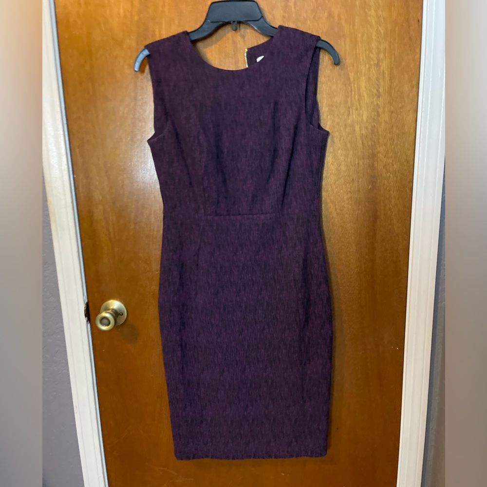 Calvin Klein Dress (size 4)
